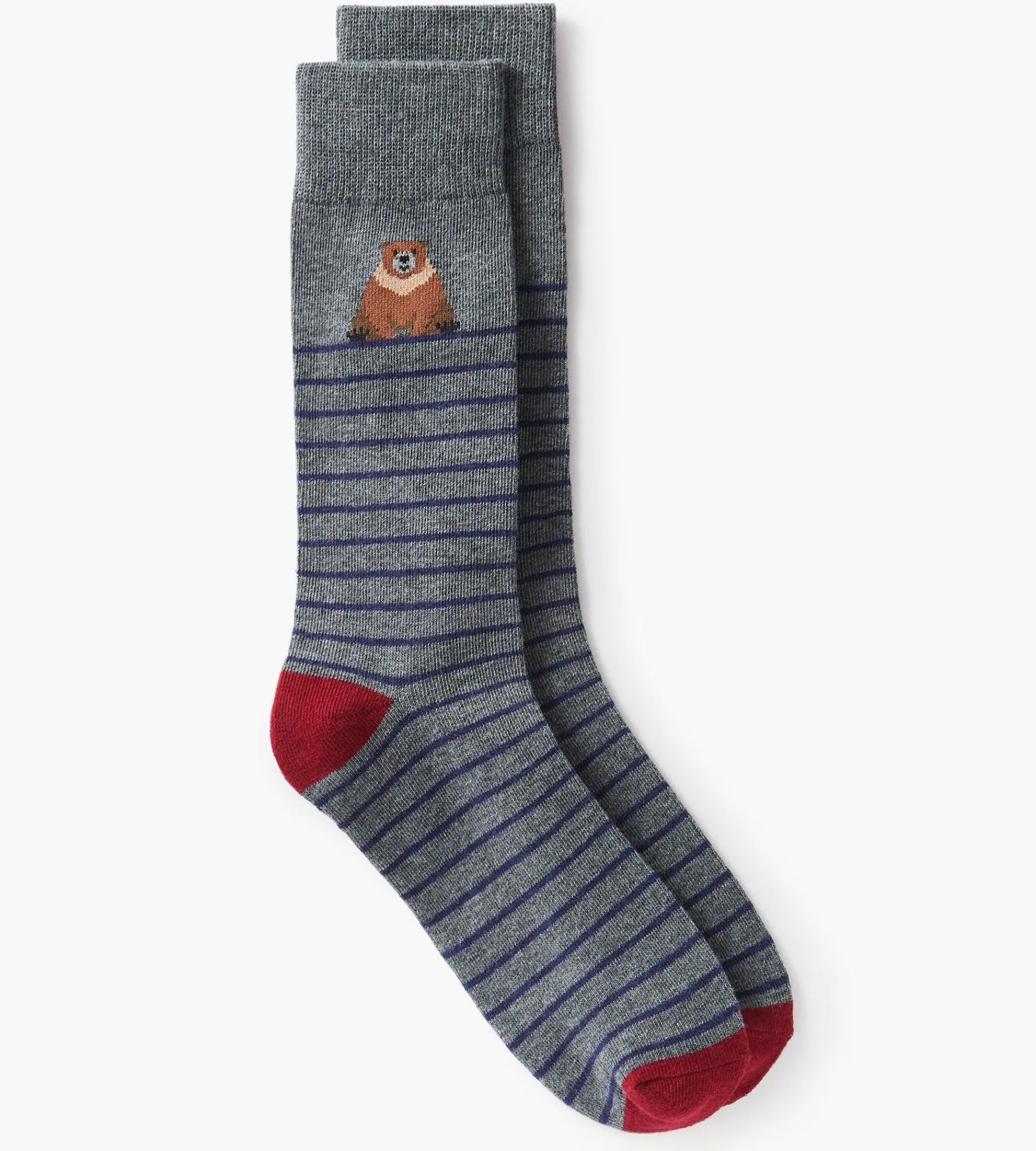 Tip Top Socks|Socks*Bear Socks