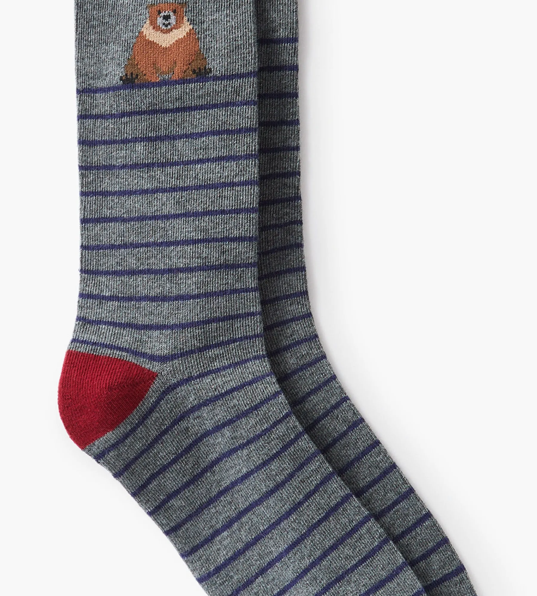 Tip Top Socks|Socks*Bear Socks