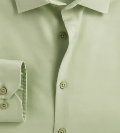 Bellissimo Dress Shirts*Modern Fit Non-Iron Sateen Dress Shirt Sage