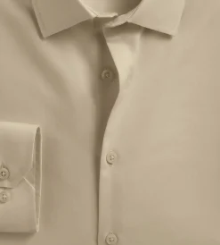 Bellissimo Dress Shirts*Modern Fit Non-Iron Sateen Dress Shirt Tan