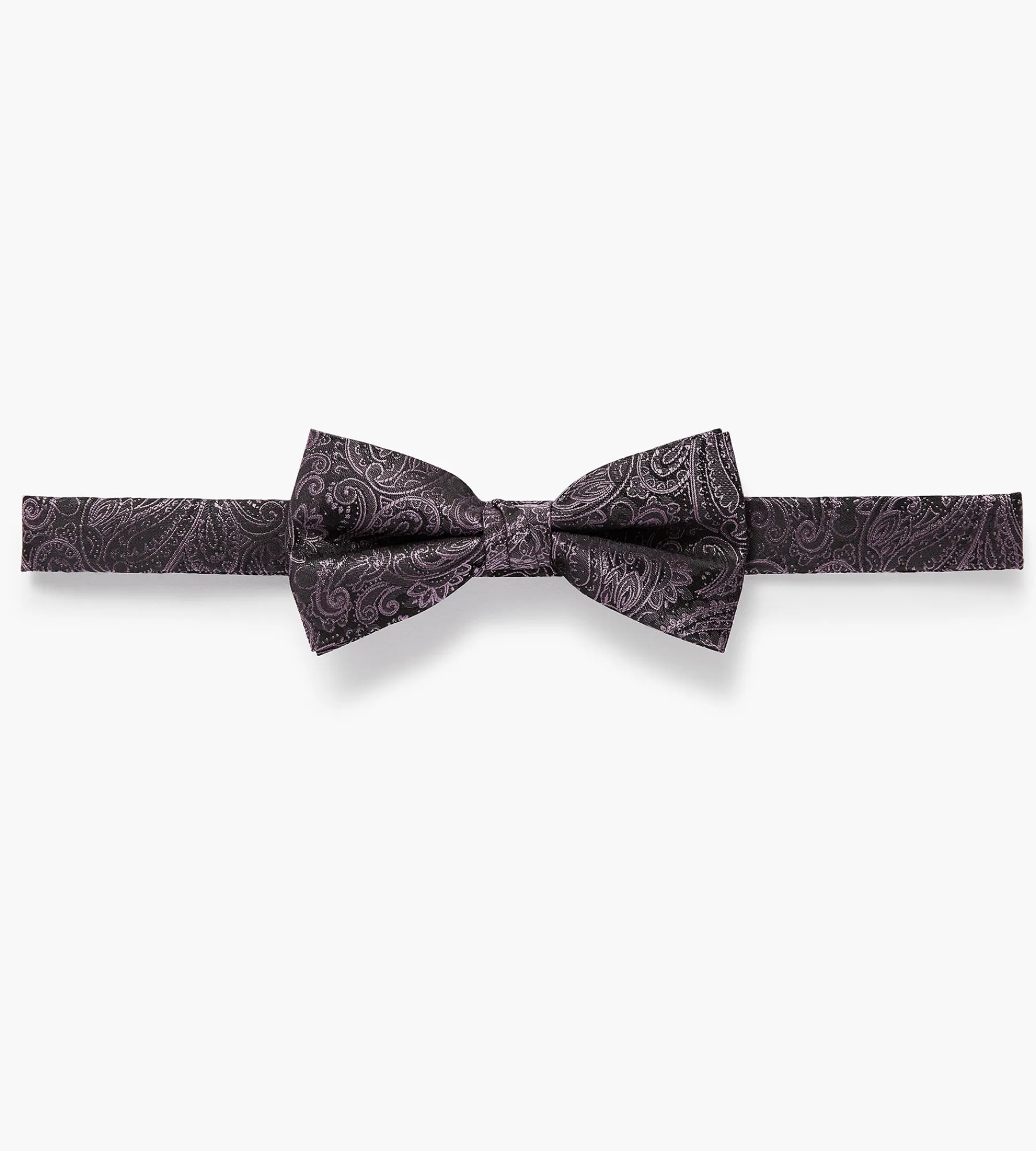 Bellissimo Bow Ties|Ties*Tonal Paisley Bow Tie Purple